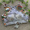 Navratari Special Real Mirror With Real Kaudi Blouse Wholesale Price In Surat